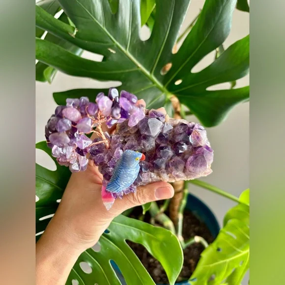 Parrot carving on Amethyst